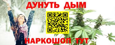сатива Можайск