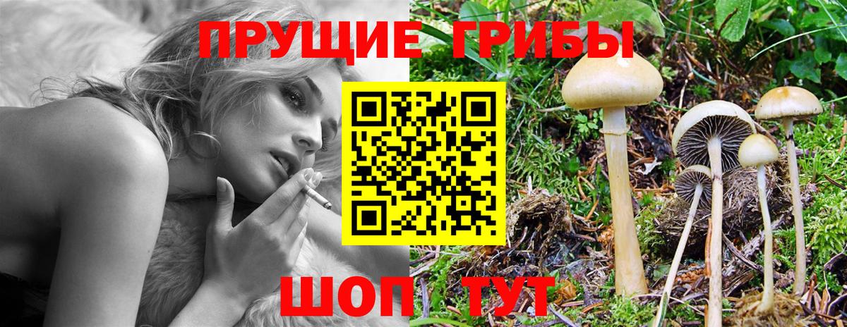 Псилоцибиновые грибы ЛСД  цены   Галлюциногенные грибы мухоморы  Ханты-Мансийск  Вход с VPN 