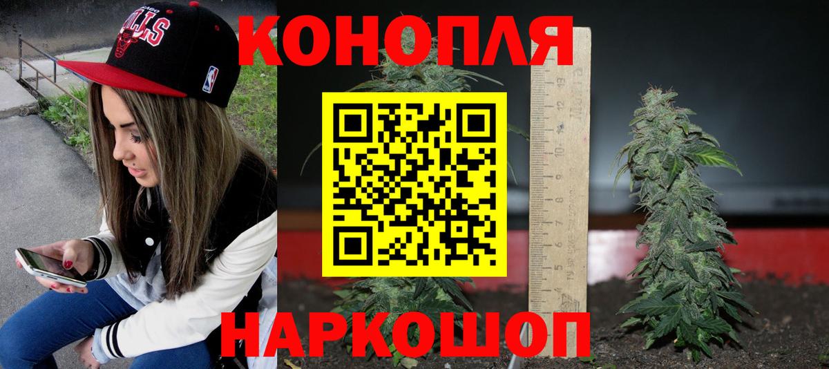 Бошки Шишки Bruce Banner  Бошки марихуана семена  Вход с VPN  Ханты-Мансийск  Бошки Шишки семена 